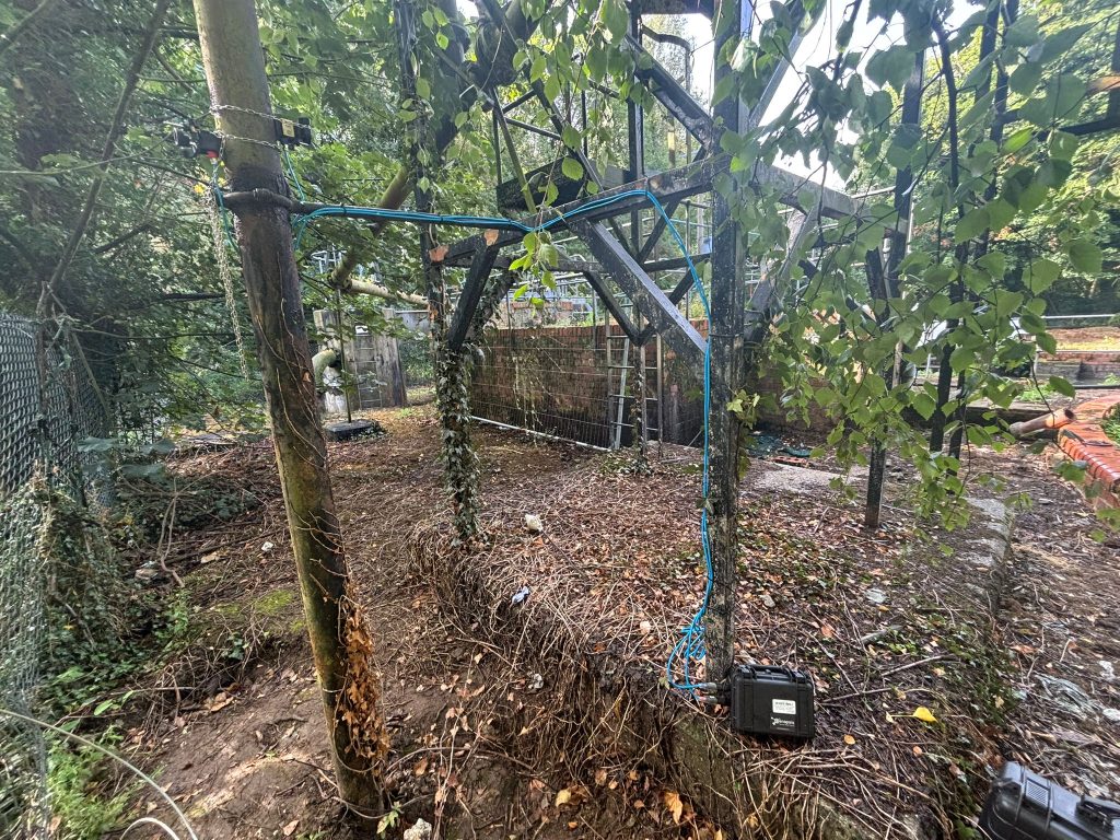 Flow Monitoring in Action